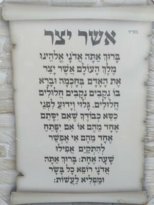 תמונת קנבס אשר יצר